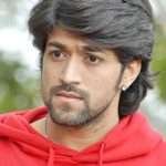 | Celebrity family wiki