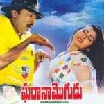 15 Gharana Mogudu 1992