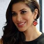 1 | Celebrity family wiki 1